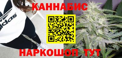 мяу мяу мука Новокубанск