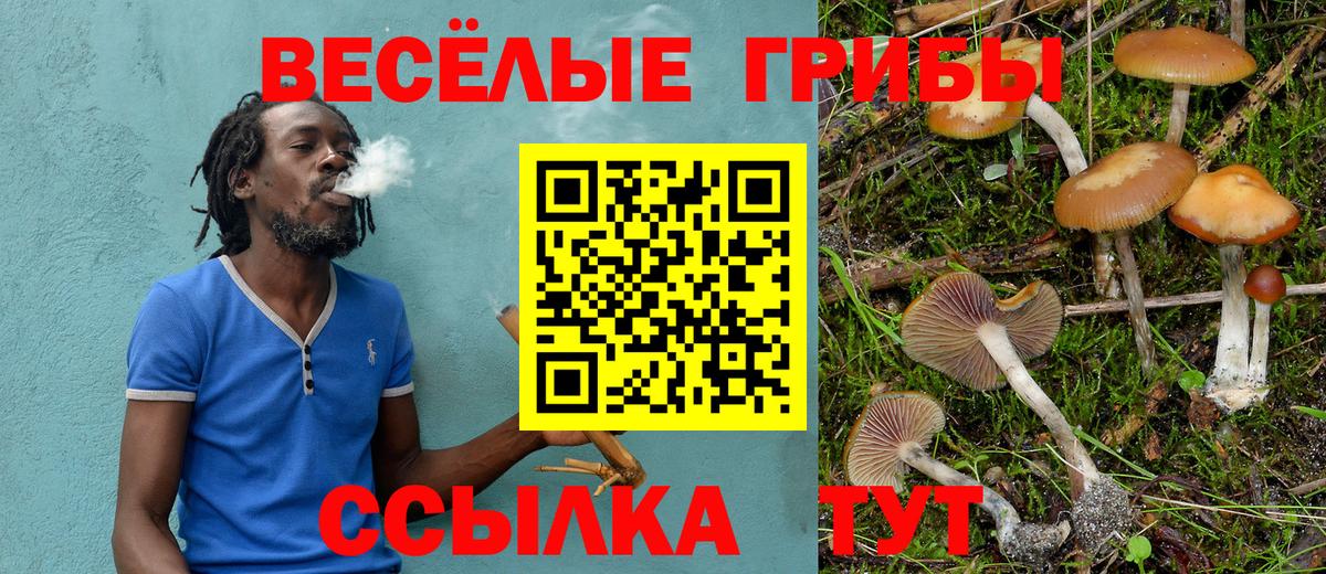 Псилоцибиновые грибы Magic Shrooms  Галлюциногенные грибы прущие грибы  Омск  Вход с VPN 